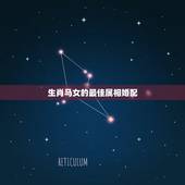 生肖马女的最佳属相婚配，属马女和什么属相最配婚姻