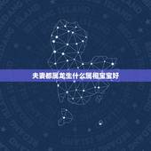 夫妻都属龙生什么属相宝宝好，老公属马，我属龙，生个什么属相的宝宝比较好