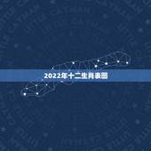 2022年十二生肖表图，九星照命解释