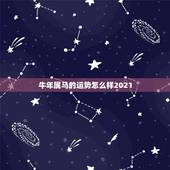 牛年属马的运势怎么样2021，属马的在牛年2021年运势如何