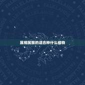 属相属猴的适合种什么植物，属猴的养什么植物旺财