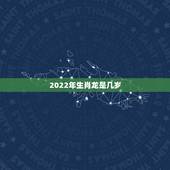 2022年生肖龙是几岁，1976年的龙45岁后的财运