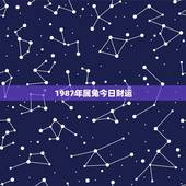 1987年属兔今日财运，1987年属兔人今日运势