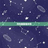 马与猪属相冲吗，马和猪的属相合不合