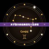 关于缘分的经典语句人生感悟，人生百味经典句子感悟