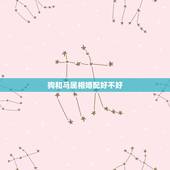 狗和马属相婚配好不好，为什么狗和马的生肖相配呢