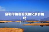鼠和羊相害的属相化解有用吗，属羊跟属鼠的真的相克吗