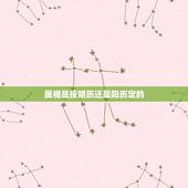 属相是按阴历还是阳历定的，生肖属相是按阴历算.还是按阳历算
