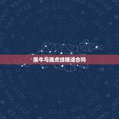 属牛与属虎结婚适合吗，属牛与属虎人的婚姻与命运