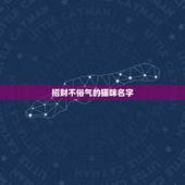招财不俗气的猫咪名字，公猫起名带财运的名字