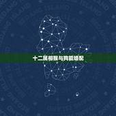 十二属相猴与狗能婚配，属猴和属狗的结婚会与哪些属相相冲