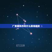 厂里属羊的和什么属相最配，属羊的和什么属相最配
