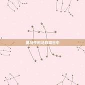 属马午时马烈如日中，马年午时生何命