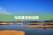 马年属虎的运势，马年属虎人11月的运势