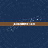 羊和兔结婚忌什么属相，结婚当天忌讳什么属相