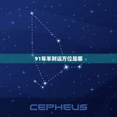 91年羊财运方位是哪，属羊的更佳财运方位