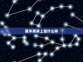 属羊男床上是什么样，我和男友接吻比流了好多好多的水