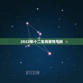 2022年十二生肖属性号码，2022 年生肖码表图