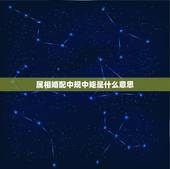属相婚配中规中矩是什么意思，属狗和什么属相最配 属狗的属相婚配表大全