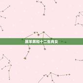 属羊男和十二生肖女，属羊男喜欢什么样的女生