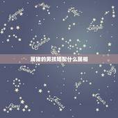 属猪的男孩婚配什么属相，属相婚配表之属猪的和什么属相最配