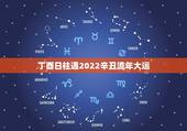 丁酉日柱遇2022辛丑流年大运，甲寅日柱遇哪个大运好