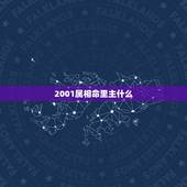 2001属相命里主什么，2001年农历6月6日出生的人的五行属什么