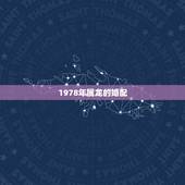 1978年属龙的婚配，1978年属马的是什么命
