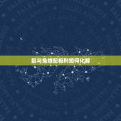 鼠与兔婚配相刑如何化解，兔和鼠犯相刑怎么解救