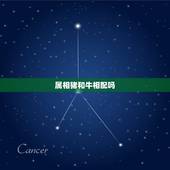 属相猪和牛相配吗，属牛和属猪的人合不合