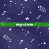 猴和鼠的属相婚配，生肖属猴鼠出生年月