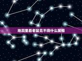 地洞里着老鼠见不得什么属相，地洞里着老鼠——见不得阳光，猜12生肖