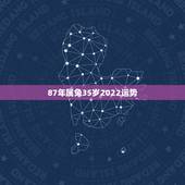 87年属兔35岁2022运势 87年兔一生的大运时间