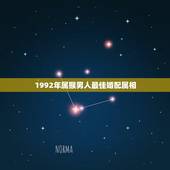 1992年属猴男人最佳婚配属相，1992年农历七月男属猴的最佳婚配表示