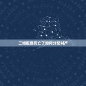 二婚配偶死亡了如何分配财产，再婚夫妻一方去世遗产如何分配