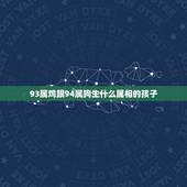 93属鸡跟94属狗生什么属相的孩子，94属狗的跟93属鸡的合不合