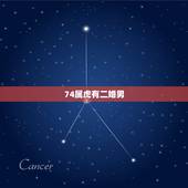 74属虎有二婚男，74年属虎男和72年属鼠女相配吗