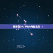 属猪在2022年的每月运势，1955年生人2022年运势