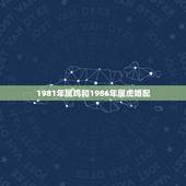 1981年属鸡和1986年属虎婚配，81年属鸡的男人和86年属虎的女人