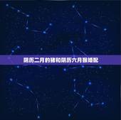 阴历二月的猪和阴历六月猴婚配，属猴的和属猪的合婚吗？