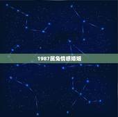 1987属兔情感婚姻，87年属兔男人的婚姻与命运