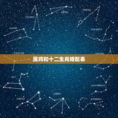 属鸡和十二生肖婚配表，最全十二生肖婚配表