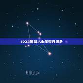 2022属鼠人全年每月运势，2022属鼠人全年运势1972