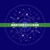 属兔的今年多大2022年运势，1984年属鼠人2022 年运势