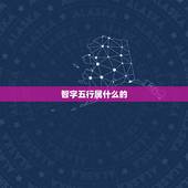 智字五行属什么的，智字五行属什么