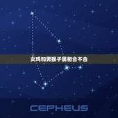 女鸡和男猴子属相合不合，女属鸡与属猴男相配吗