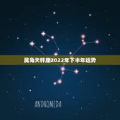 属兔天秤座2022年下半年运势，属兔的女性的天秤座今年的财运