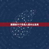 属猪的六个合贵人是什么生肖，属羊的六个合贵人