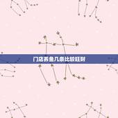 门店养鱼几条比较旺财，家里养鱼风水有哪些讲究？养几条鱼风水比较好？