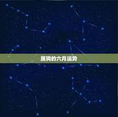 属狗的六月运势，我属狗，今年运势怎么样？